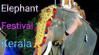 Elephant  Kerala  Travel  People  Festival  Hindu  Temple  India  Video 02 ‎shailpoints [upl. by Derick]