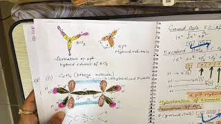 Chemical BondingConcept Of Hybridisation Involving S P and D Orbitals with ShapesSP3 SP3D SP3D2 [upl. by Hamlet]