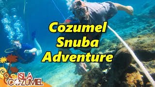 Cozumel Snuba Adventure [upl. by Kipton501]