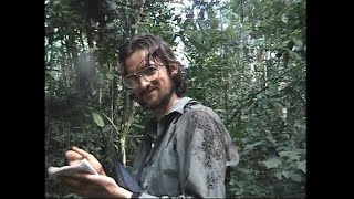 Covered in sweat bees amumbulumbu in the Gangu swamps [upl. by Rhody976]