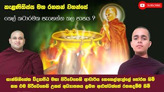 කැළණිතිස්ස මහ රහතන් වහන්සේ Kalanithissa Maha Rahathan Wahanse [upl. by Christoper540]