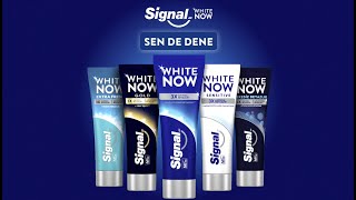 Signal White Now 💙 [upl. by Gradeigh]