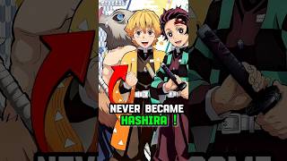 Why Tanjiro Inosuke And Zenitsu Never Became Hashira  demonslayer hindi [upl. by Serilda]