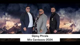 Gipsy Phrala  Dza Dza Mix 2024🔥🔥 [upl. by Nosnaj]