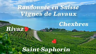 Randonnée en Suisse aux vignes de Lavaux  4K [upl. by Eimas257]