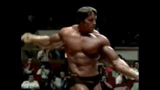 Arnold Schwarzenegger Bodybuilding [upl. by Ivana]