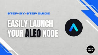 Aleo Testnet A Guide to Easily Deploy Your Node and Wallet [upl. by Mickelson449]