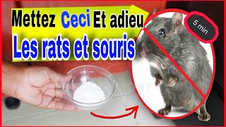 👉COMMENT DEBARRASSER LES RATS ET LES SOURIS DE VOTRE MAISON facilement AGIT EN 5 MINUTES [upl. by Toscano927]