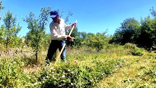 Scythe Mowing Lawn on Sunny Day [upl. by Nirre]