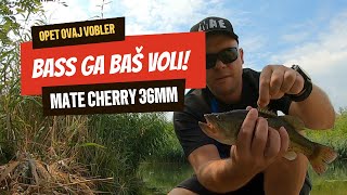 Pecanje basa na vobler  MATE Cherry 36mm 4g  Vole ih basovi [upl. by Rossi675]