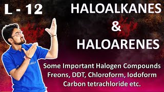 Haloalkanes amp Haloarenes  L 12  Some Important Halogen Compounds Freons DDT  Class 12 [upl. by Yrtneg836]