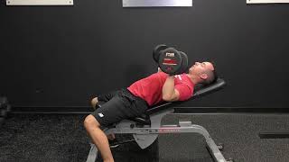 Eccentric Low Incline Dumbbell Bench Press [upl. by Shani]