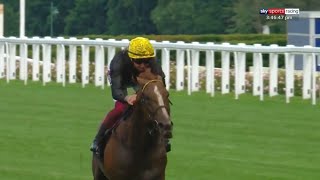 Stradivarius biggest ever win 10 length romp in the 2020 Gold Cup [upl. by Roath]