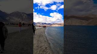 Pangong Lake Ladakh pangonglake ladakh short youtubeshorts EXPLORERS EYE [upl. by Hcib]