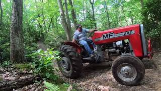 Massey Ferguson 245 Earning it’s Keep in the Woods Skidding Logs [upl. by Eintruok50]