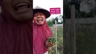 LARANGAN REGO KENCING 2000shortvideo [upl. by Anaerdna]