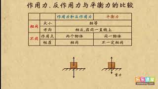 14作用力、反作用力与平衡力的比较 牛顿运动定律（1）高中物理 [upl. by Xanthe929]