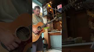 Fields of Gold  Sting  Acoustic Guitar Solo sting livemusic [upl. by Airotnes]