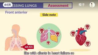 Lung Auscultation Location  Assessment  NURSE amp নার্স [upl. by Jill]