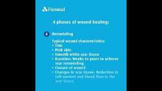 Wound Care Education  4 Phases of Wound Healing [upl. by Ikiv]