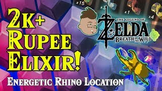 2330 Rupee Elixir Breath of the wilds Most expencive Elixir Energetic Rhino Beetle location [upl. by Atteval]