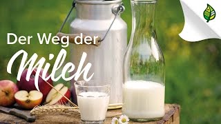 Der Weg der MILCH in Österreich  Teaser [upl. by Donalt]