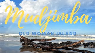 Mudjimba Beach Sunshine Coast amp Old Woman Island [upl. by Ahsiya]