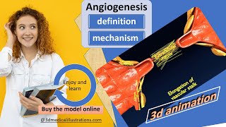 angiogenesis definition  mechanism of angiogenesis  tumor angiogenesis  sprouting vasculogenesis [upl. by Jaworski]