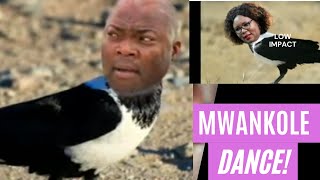 Dancing to Drimz Ba Mwankole funny video🤣 Mwankoledancechallenge BaMwankoleDanceChallenge [upl. by Nolitta537]