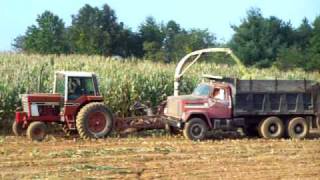 Chopping Corn [upl. by Uriah]