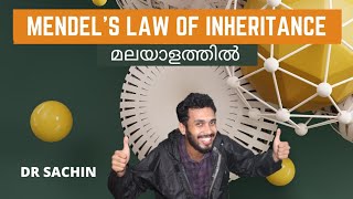 mendels law of inheritance  true breeding plants  knowledge vlogger  malayalam  class 12 [upl. by Bang]