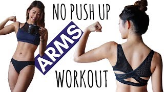 10 MIN LOSE ARM FAT NO PUSH UP Beginner Arms HIIT Workout at Home No Equipment [upl. by Casper]