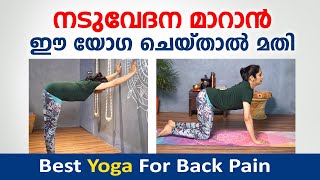 നടുവേദന മാറാൻ ഏറ്റവും നല്ല യോഗ ഇതാണ്  Best Yoga For Back Pain  naduvedana yoga  Dr Akhila Vinod [upl. by Nepets]