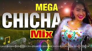 MEGA CHICHA MIX BAILABLE 2024 [upl. by Liberati]