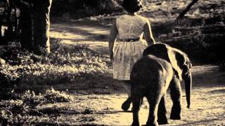 Dame Daphne Sheldrick Tribute Video [upl. by Midge]