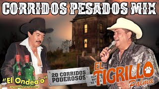 Beto Quintanilla y El Tigrillo Palma  Corridos Famosos de Todos los Tiempos  Corridos Para Pistear [upl. by Chelsy]