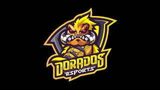 DORADOS ESPORTS EN LFV PANAMÁ FECHA 3 vs DROGO FC y FECHA 4 vs OLD SCHOOL FC ⚽ [upl. by Ordnaxela677]