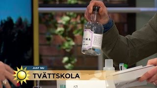 Ättika och citron  för den som vill tvätta rätt  Nyhetsmorgon TV4 [upl. by Jaquelyn515]