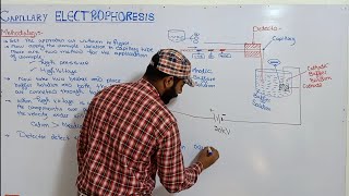 Methodology of capillary electrophoresis  CE  types of Electrophoresis  Electrophoresis [upl. by Aileno571]