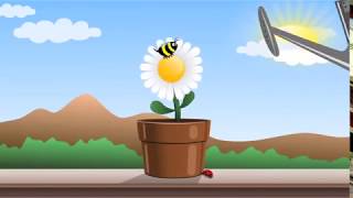 Flowers and ladybugs Cartoon Animation [upl. by Laughton718]