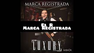 El R Marca Registrada Letra [upl. by Cheyney]