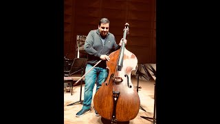 Maggini Doublebass  Dragonetti Waltz [upl. by Hait138]