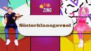 123ZING  Sinterklaasgevoel [upl. by Norabal]