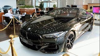 NEW 2019 BMW M850i  First Impressions amp Full Review [upl. by Lessig354]