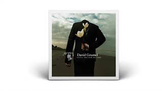 DAVID GRUMEL quotUNTILE THE END OF TIME Radio Editquot 2005 [upl. by Slohcin]