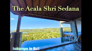 The Acala Shri Sedana [upl. by Arjun658]