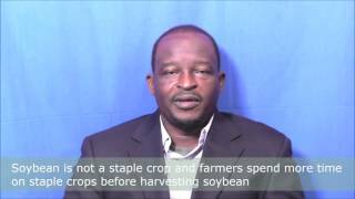 USAID Soybean Innovation Lab Expert Pod interview with Dr Nicholas N Denwar [upl. by Tletski]