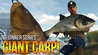 Lvl47 Were after UNIQUE CARP at Sander Baggersee Lake  Fishing Planet [upl. by Sharity]