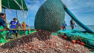 LARGEST CATCH EVER👍 7 Tons of Crabs 🦀 Caught in Single Haul WOW”🤩 [upl. by Rhine]