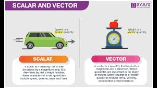 Grade 10 Physics Scalars and Vectors Revision [upl. by Kataway]